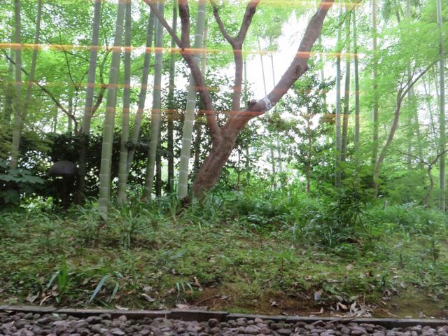 景色_ザ・プリンス 京都 宝ヶ池