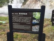 ヒロシさんの登別原始林の投稿写真1