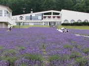 たかちゃんさんのハイランドふらのの投稿写真2