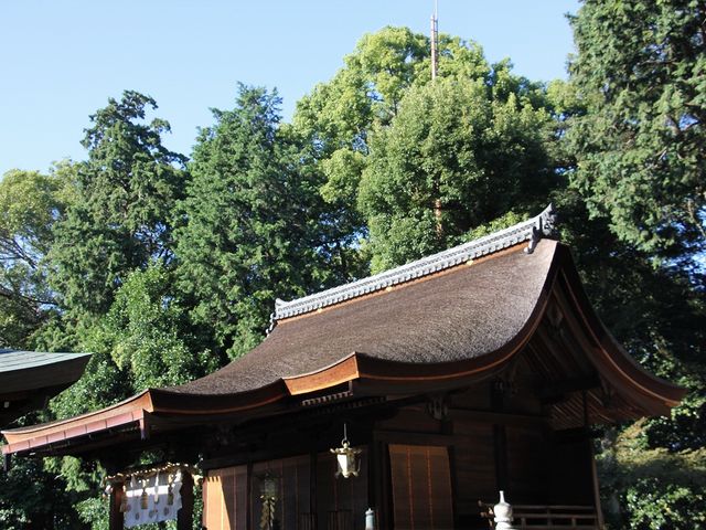 国の重要文化財に指定されている本殿。_勝部神社