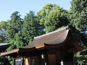 Yanwenliさんの勝部神社の投稿写真1