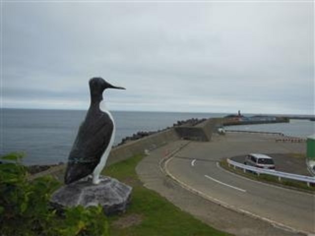 甘辛熊さんの焼尻観光ハイヤーの投稿写真3