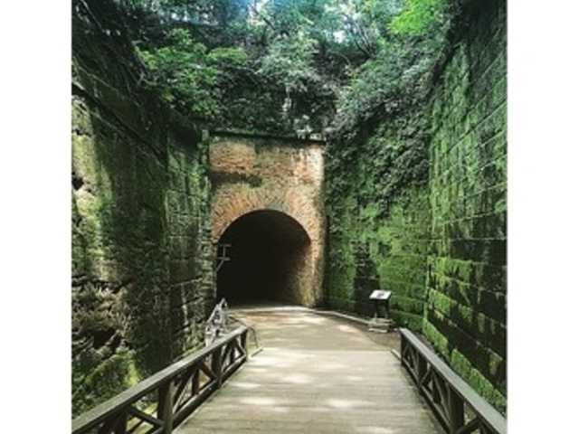 トンネルがいくつかありました!_猿島