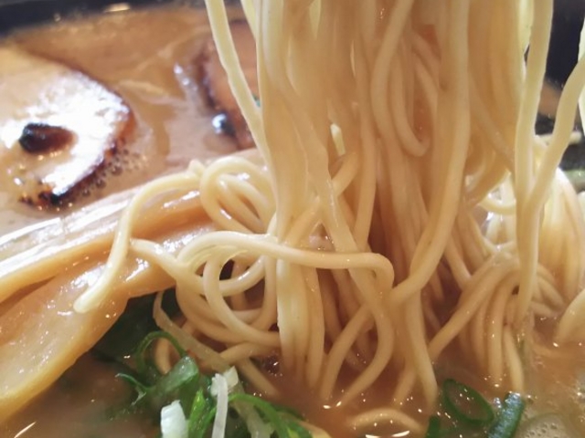 山とんとん細麺硬さ普通こってり_やまざき屋