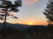 のんたさんの星の動物園 みさと天文台の投稿写真2