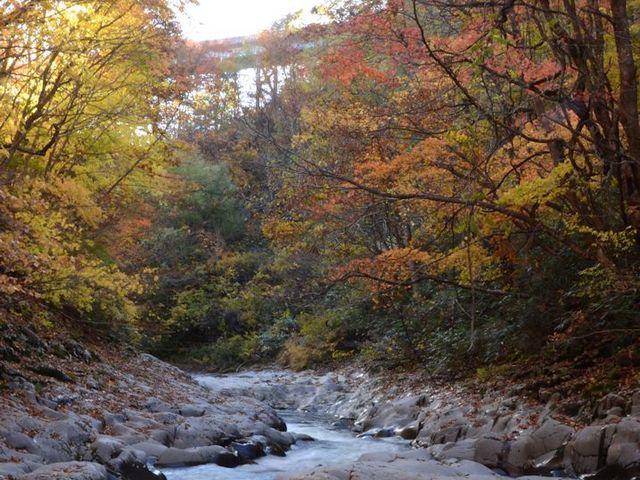 橋を望む_中津川渓谷