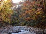 hekokimanさんの中津川渓谷の投稿写真3