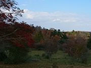 aprictさんの八方ヶ原の投稿写真1