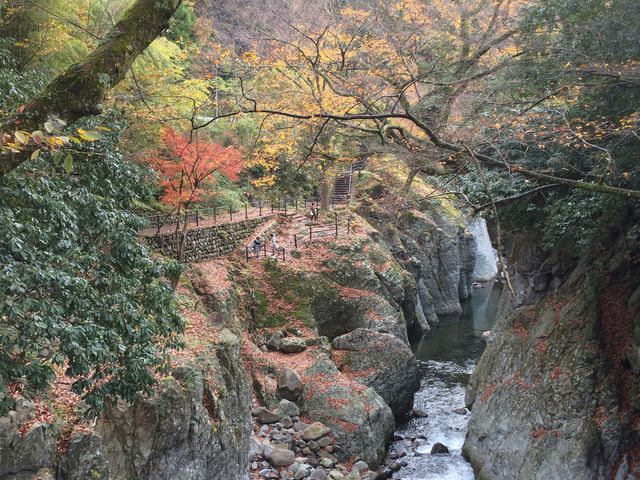 念仏橋の上から_奥耶馬溪