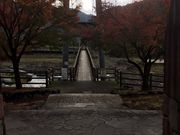 アイルトンくんさんの川代公園の投稿写真1