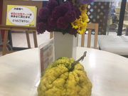 TXLさんの天然温泉 黄金の里の投稿写真1