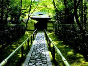 ぴあにっしもさんの大徳寺の投稿写真1