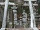 たぴおかさんの薩摩島津家の墓への投稿写真4
