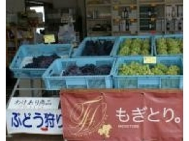 ぶどう_辻豊玉園