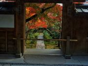 雷ちゃんさんの龍安寺の投稿写真7