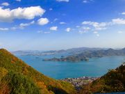 うめしょこさんの筆影山展望台の投稿写真4