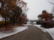 トシローさんの八色の森公園の投稿写真1