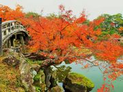 雷ちゃんさんの玄宮園の投稿写真10