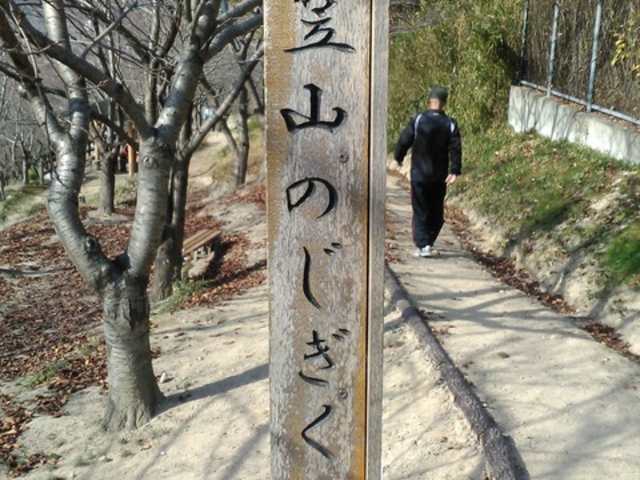 よしさんの日笠山のノジギクの投稿写真1