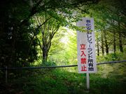 でらさんの化女沼の投稿写真2