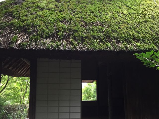与謝蕪村が芭蕉庵で詠んだ句についての説明板があります。_金福寺