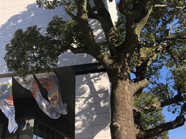 珍しい美術館でした_ヤマザキマザック美術館