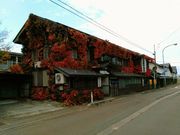 KUNTOMさんの樽平酒造の投稿写真1