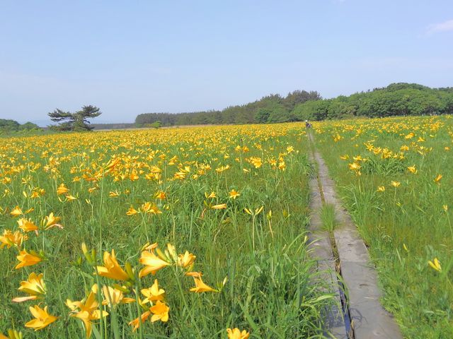 ベンセ湿原