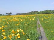 いざのりさんのベンセ湿原の投稿写真1