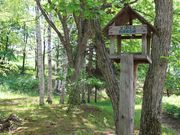 たかちゃんさんの千代田公園の投稿写真2