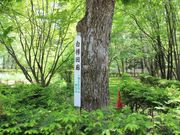 たかちゃんさんの千代田公園の投稿写真3