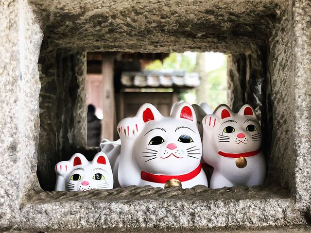 いたるところに招き猫_豪徳寺