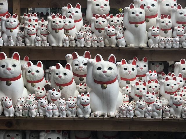 なかなか圧倒されます_豪徳寺