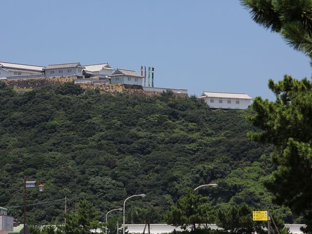 港から見た富岡城跡。_富岡城跡