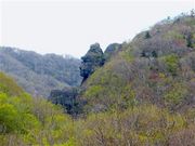 甘辛熊さんのマウンテンゴリラの岩の投稿写真1