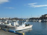 サビ猫さんの田子の浦漁港の投稿写真1