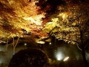 skycrawlerさんの徳明園の投稿写真1
