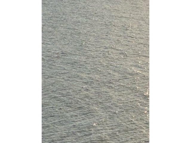 自然_青島