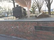 suzuさんの西公園の投稿写真1