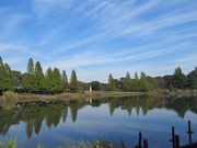 ゼバスティアン04さんの松伏総合公園の投稿写真2