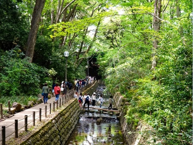 等々力_等々力渓谷公園