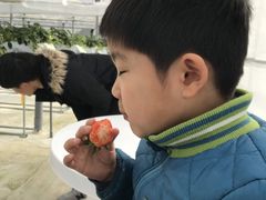 Mjimaさんのかぐや農園への投稿写真1