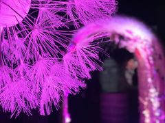 めのうさんの日本橋三井ホールへの投稿写真1