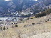 のほほん気分さんの松田町寄自然休養村の投稿写真2