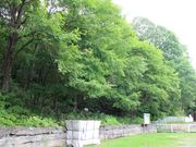 たかちゃんさんの嵐山・神居自然休養林の投稿写真3