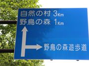 たかちゃんさんの白金野鳥の森自然歩道の投稿写真1