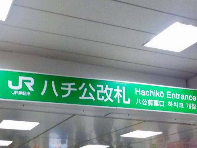 JR渋谷駅_JR渋谷駅