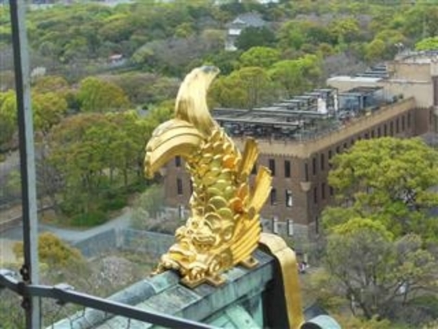 天守閣展望所から見る「大阪城:金の鯱」_大阪城
