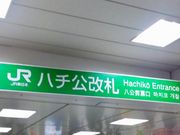 いなばちゃんさんのJR渋谷駅の投稿写真1