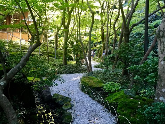 【一条恵観山荘】真夏の小径_一条恵観山荘